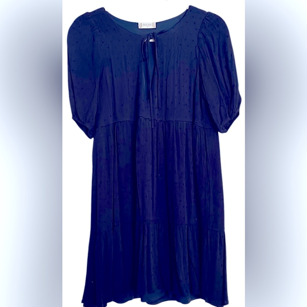 ALTAR’D STATE Navy Blue Dotted Swiss Puff Sleeve Tiered Dress, Sz Medium, GUC.